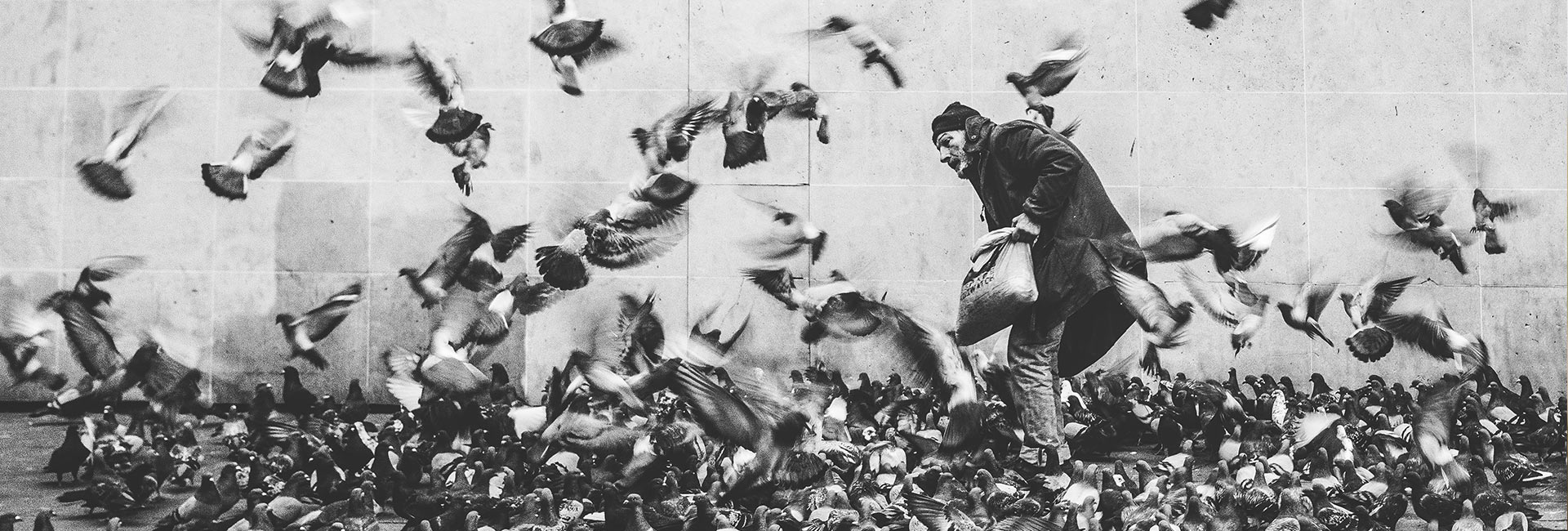 Forget The Polite Workplace Dance And Ruffle Some Feathers Instead